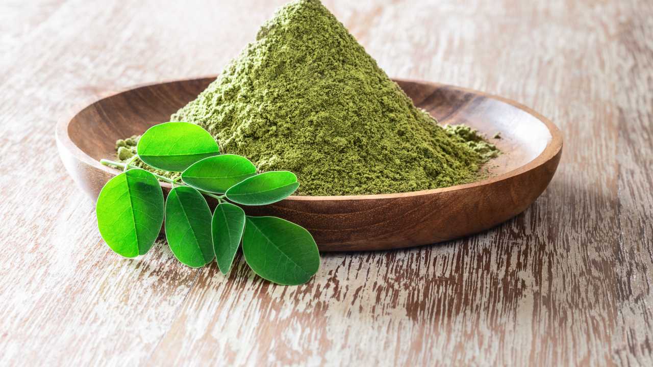 Moringa Powder