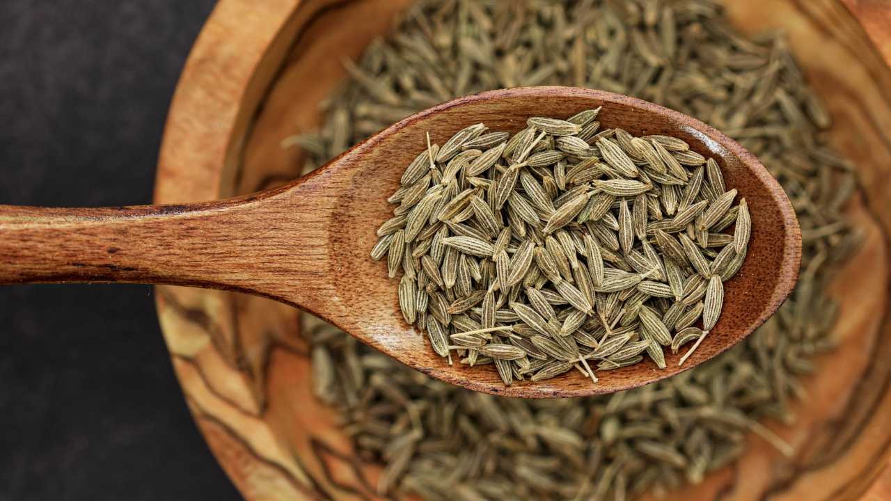 Cumin Seed