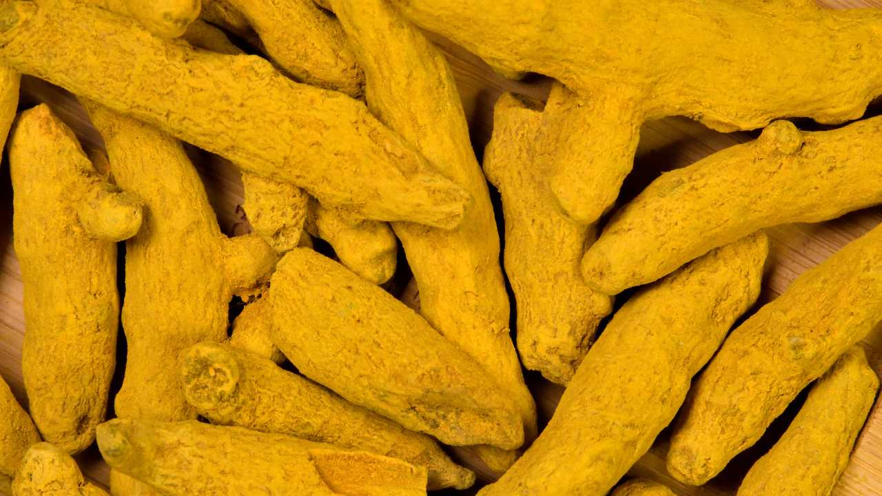 Turmeric Finger